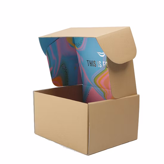 음식/맥주/국수/비스킷/과일/음료/차의 말린 해산물을 위한 주문 다채로운 인쇄된 Kraft 물결 모양 E/B 플루트 종이 포장 선물 종이상자